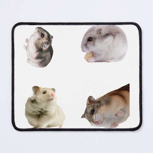 Item preview, 1st Majestic  Hamster Stickers Package. Cute Hamsters For Every Hamster Owner, Animal Mam, Furbaby Parent. Not Guinea Pig Tho, Kawaii, And Funny Hamster Stickers Bundle! - Cute  designed and sold by AnimalStickers-.