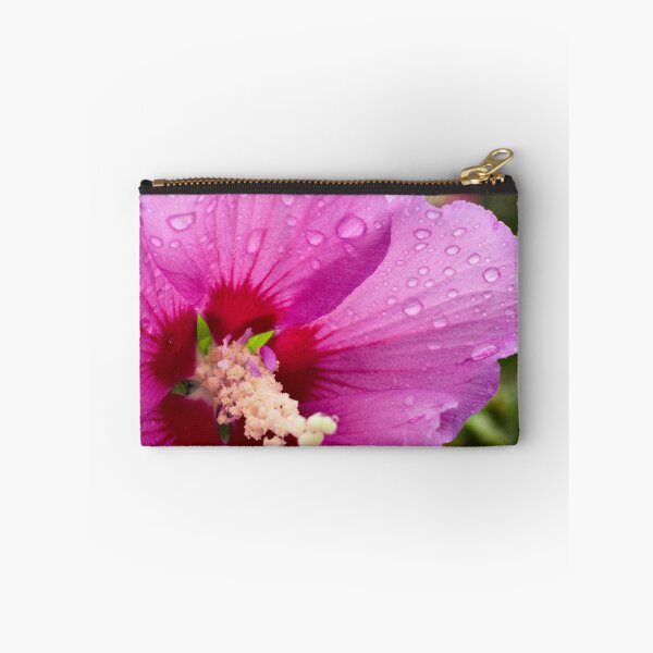 Aperçu de l'œuvre Rain Drops créée et vendue par GailD.