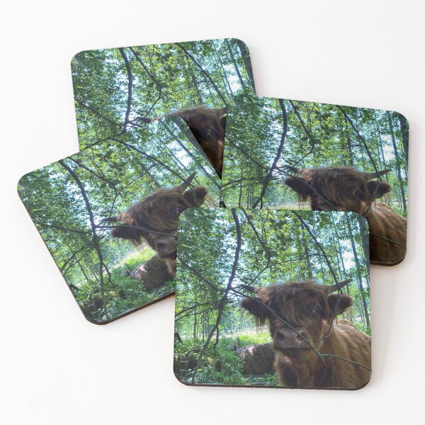 Item preview, Scottish Highland Cattle Calf 2910 designed and sold by SaarelaHighland.