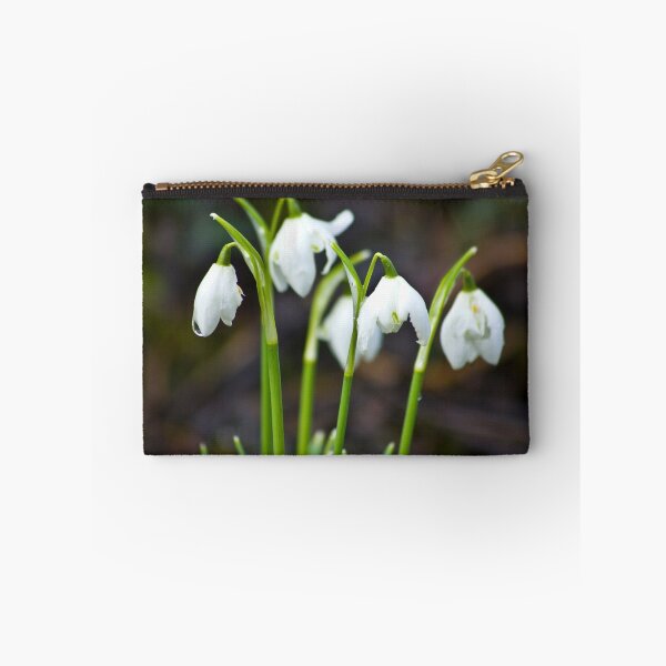 Item preview, The Beauty of Snowdrops designed and sold by Trevor Kersley.