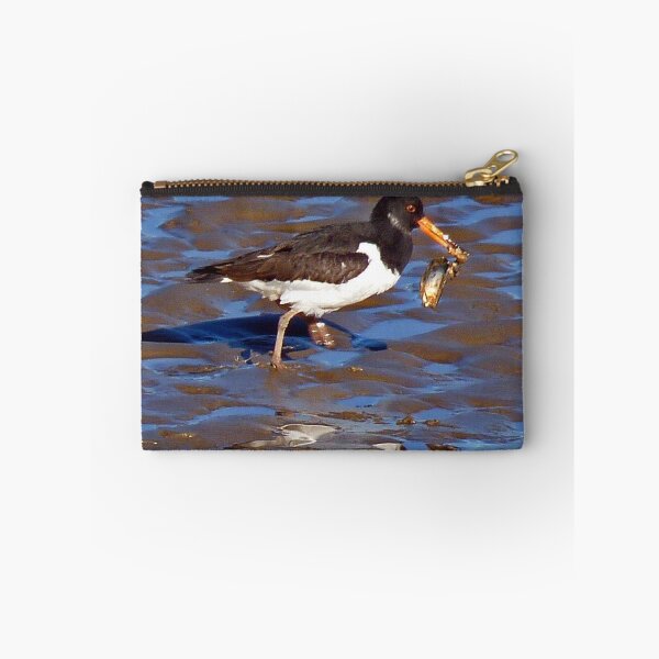 Item preview, Oyster Catcher, Conway designed and sold by artfulvistas.