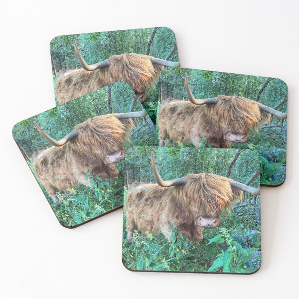 Item preview, Scottish Highland Cattle Cow with big horns 2914 designed and sold by SaarelaHighland.