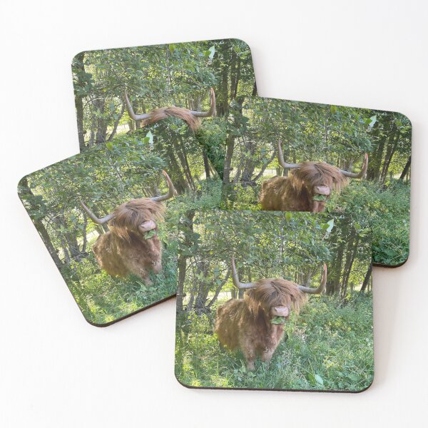 Artikelvorschau, Scottish Highland Cattle Cow 2916 entworfen und verkauft von SaarelaHighland.