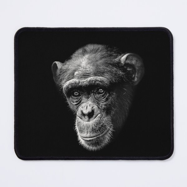 Item preview, Chimpanzee with Sad Eyes designed and sold by Scotch Macaskill.