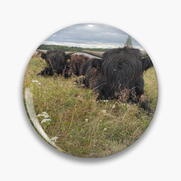 Artikelvorschau, Scottish Highland Cattle Calves 2921 entworfen und verkauft von SaarelaHighland.