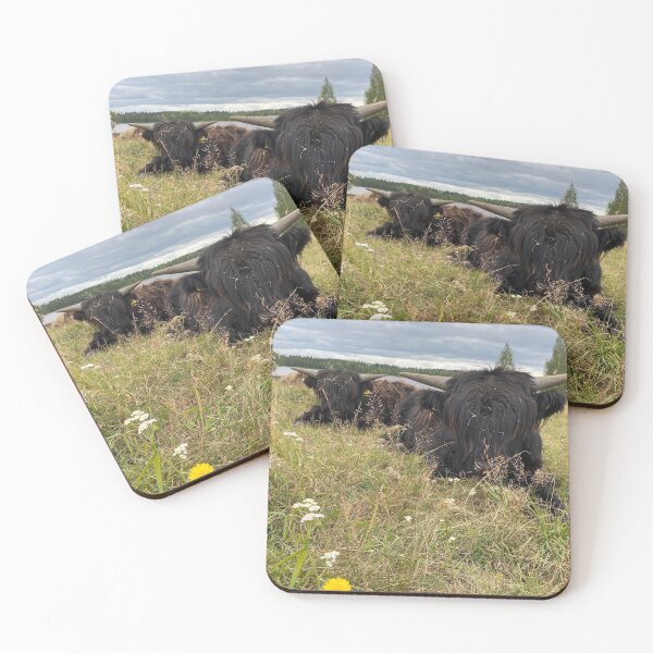 Item preview, Scottish Highland Cattle Calves 2921 designed and sold by SaarelaHighland.