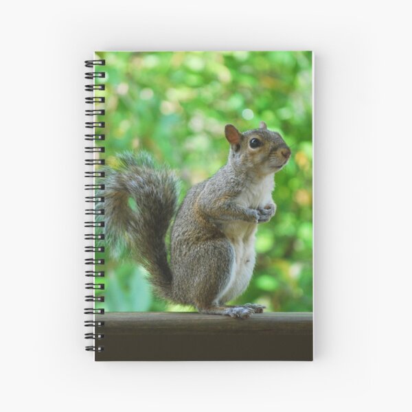 Excuse please, can spare a peanut? Spiral Notebook