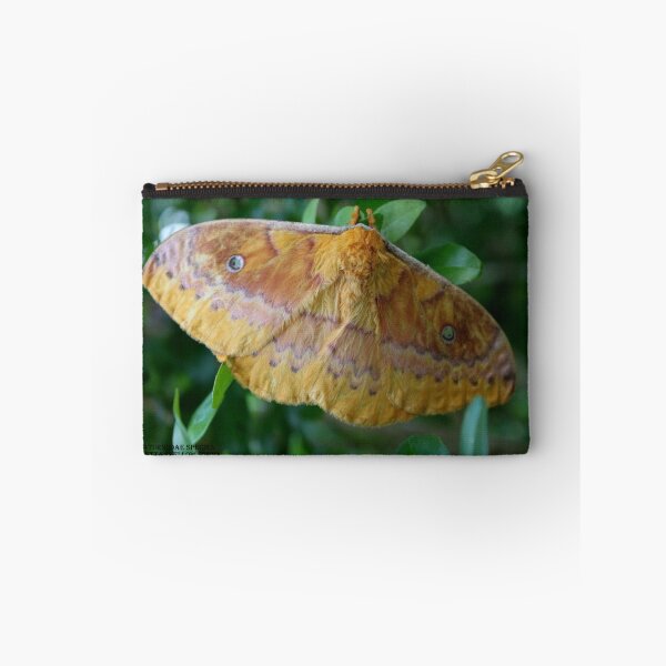 Item preview, Large Moth designed and sold by robmac.