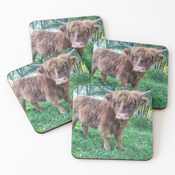 Item preview, Scottish Highland Cattle Calf 2925 designed and sold by SaarelaHighland.