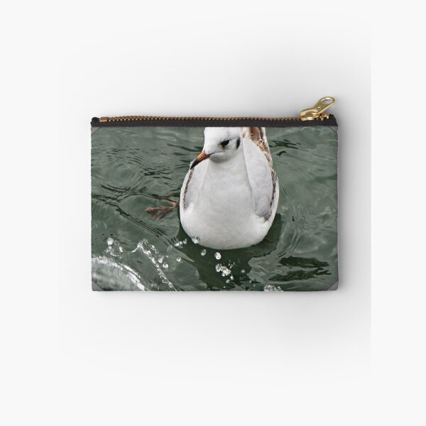 Item preview, " Immature Blackheaded Gull" designed and sold by mrcoradour.