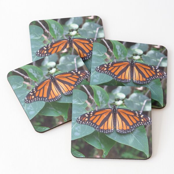 Item preview, Resting Monarch designed and sold by MarianBendeth.