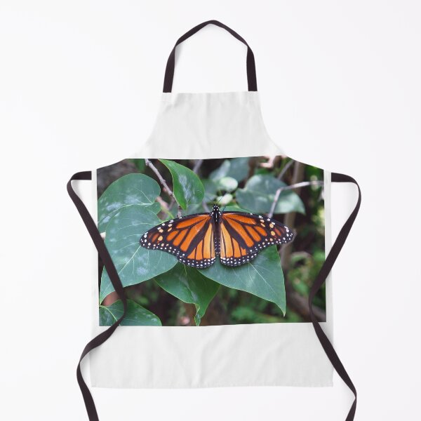 Item preview, Resting Monarch designed and sold by MarianBendeth.