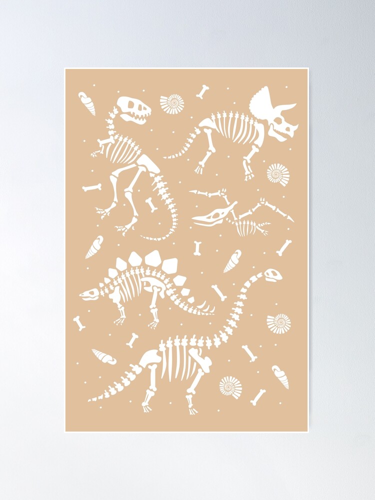 Poster de fossiles de dinosaures