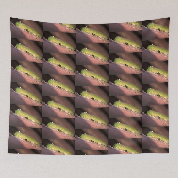 Item preview, Green Caterpillar designed and sold by Bill Spengler's Photographic Thoughts.