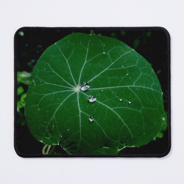 Item preview, Water pebbles designed and sold by MarianBendeth.
