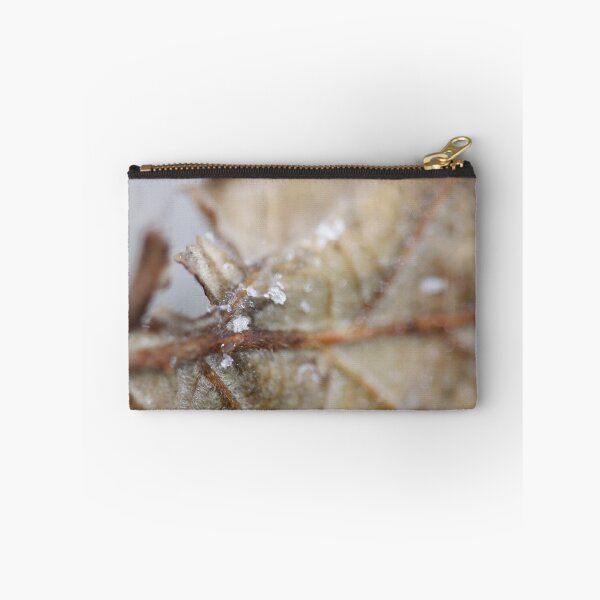 Item preview.