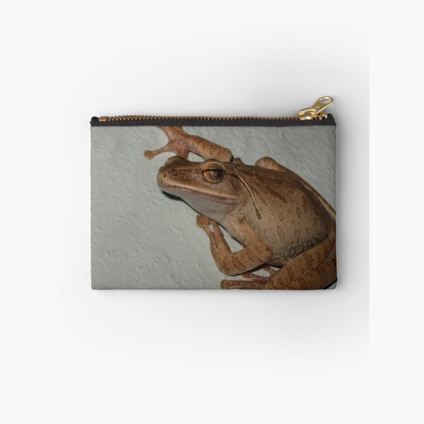 Item preview, Frog designed and sold by terrebo.