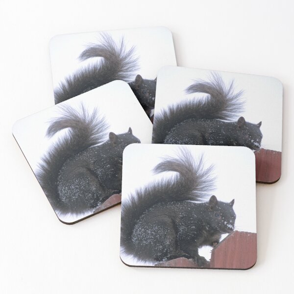 Item preview, Snowy Black Squirrel  designed and sold by Bill Spengler's Photographic Thoughts.