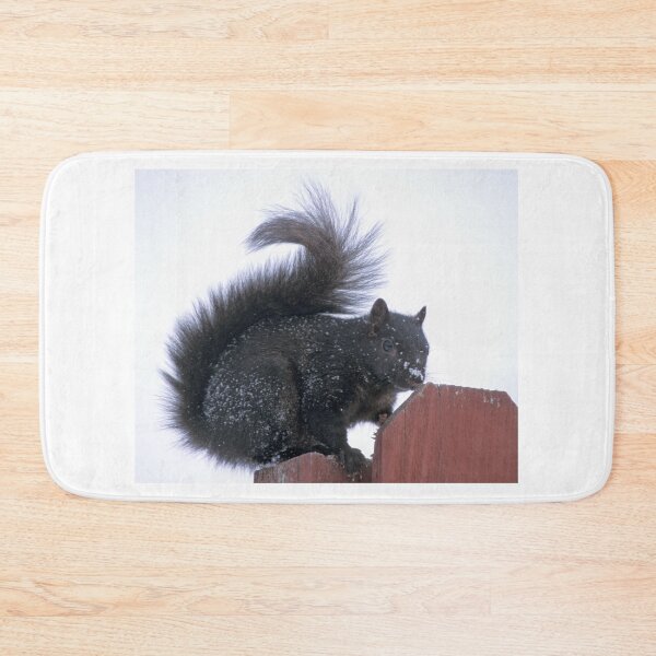 Item preview, Snowy Black Squirrel  designed and sold by Bill Spengler's Photographic Thoughts.
