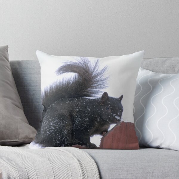 Item preview, Snowy Black Squirrel  designed and sold by Bill Spengler's Photographic Thoughts.