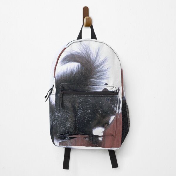 Item preview, Snowy Black Squirrel  designed and sold by Bill Spengler's Photographic Thoughts.