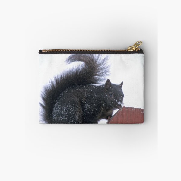 Item preview, Snowy Black Squirrel  designed and sold by Bill Spengler's Photographic Thoughts.