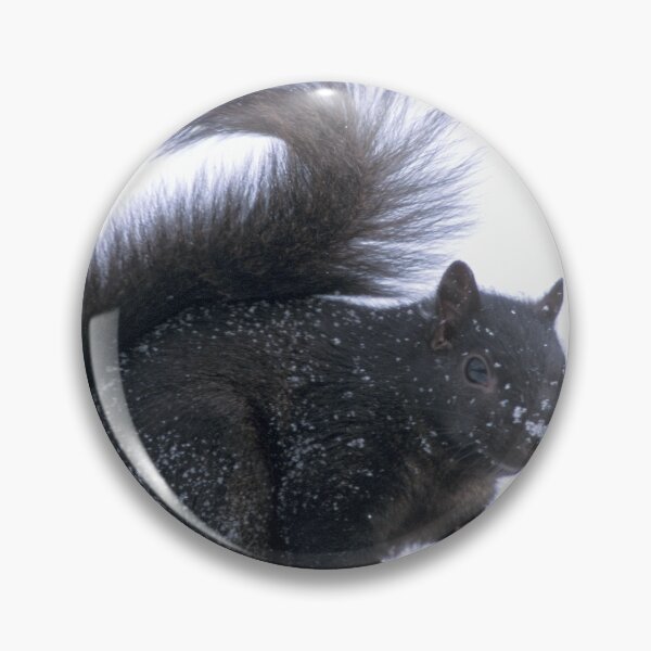 Item preview, Snowy Black Squirrel  designed and sold by Bill Spengler's Photographic Thoughts.