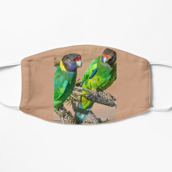 Perroquet à collier australien Masque sans plis