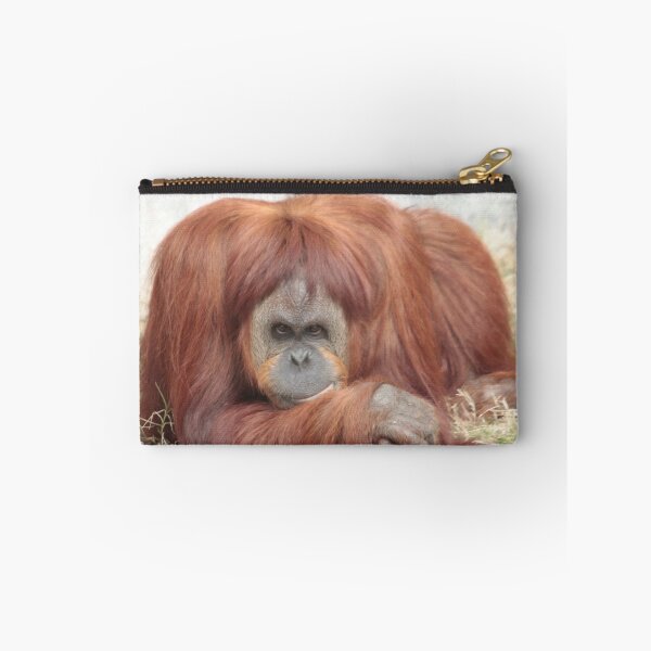 Item preview, Glamour Shot designed and sold by Terence Russell.