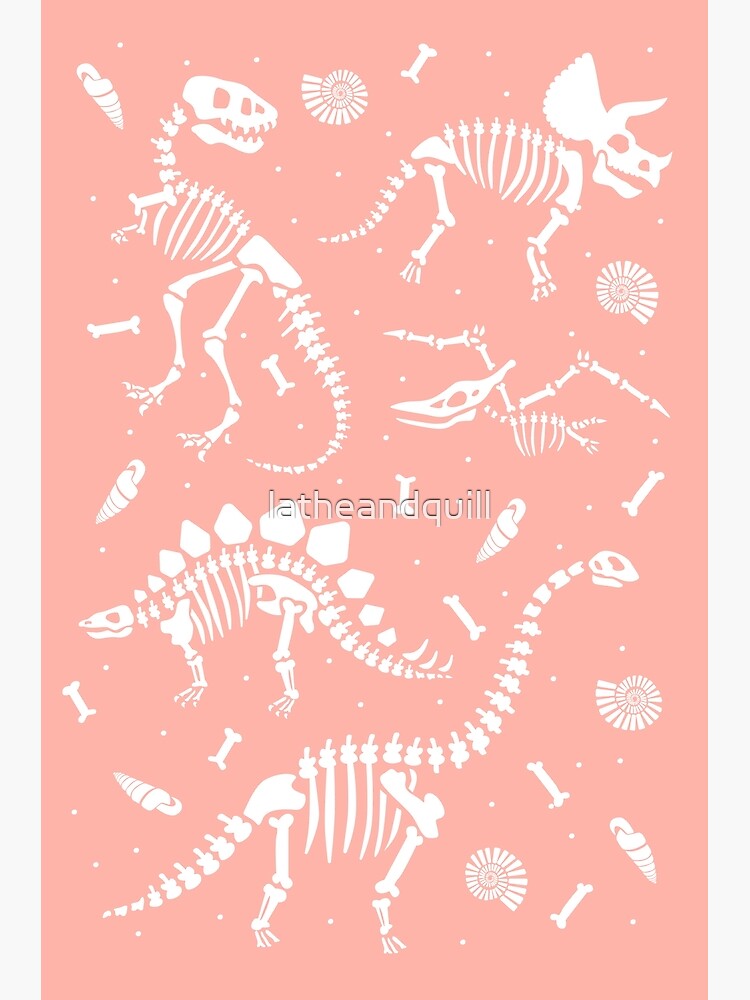 Fossil Dinosaur Stickers 16-Pack - Fossil Dinosaur Stickers for