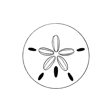 Artwork thumbnail, Sand Dollar by Reeseworks
