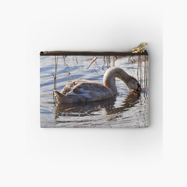 Item preview, Backlit Juvenile Swan designed and sold by kernuak.