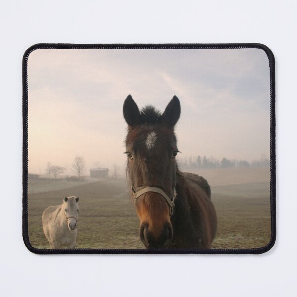 Item preview, "Good Morning" Amish Horses. designed and sold by Billlee.