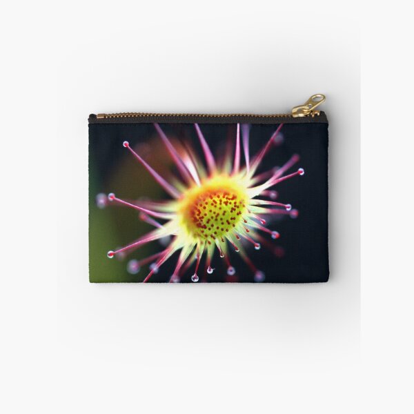 Item preview, Honeydew designed and sold by Pene Stevens.