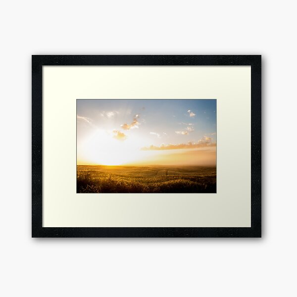 Sleepless sunrise - field Framed Art Print