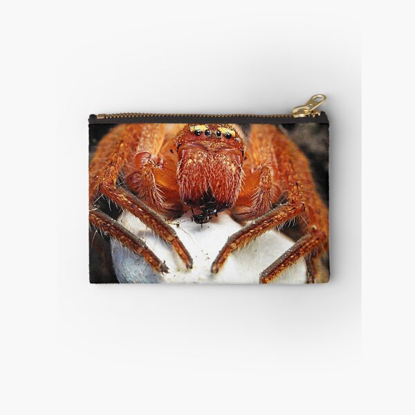 Item preview, Spider with Egg Sac designed and sold by Bev Pascoe.