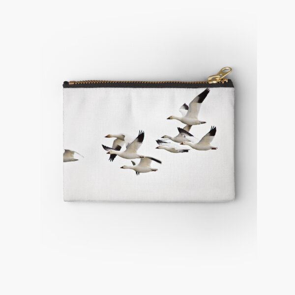 Item preview, Focus designed and sold by BigD.