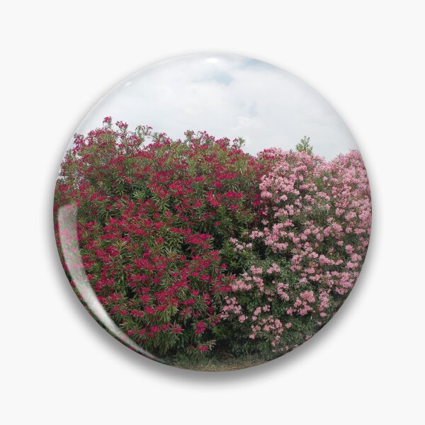 Item preview, 2018 Bougainvillea sulla Strada Aurelia designed and sold by robertoferrero.