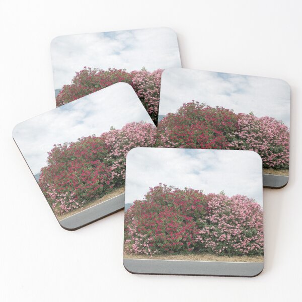 Item preview, 2018 Bougainvillea sulla Strada Aurelia designed and sold by robertoferrero.