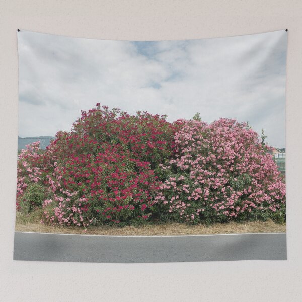 Item preview, 2018 Bougainvillea sulla Strada Aurelia designed and sold by robertoferrero.