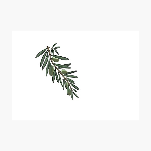 Item preview, Olive Branch designed and sold by morganwal.