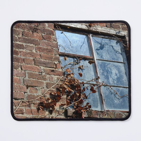 Item preview, Window in an Abandoned Cottage. designed and sold by Billlee.