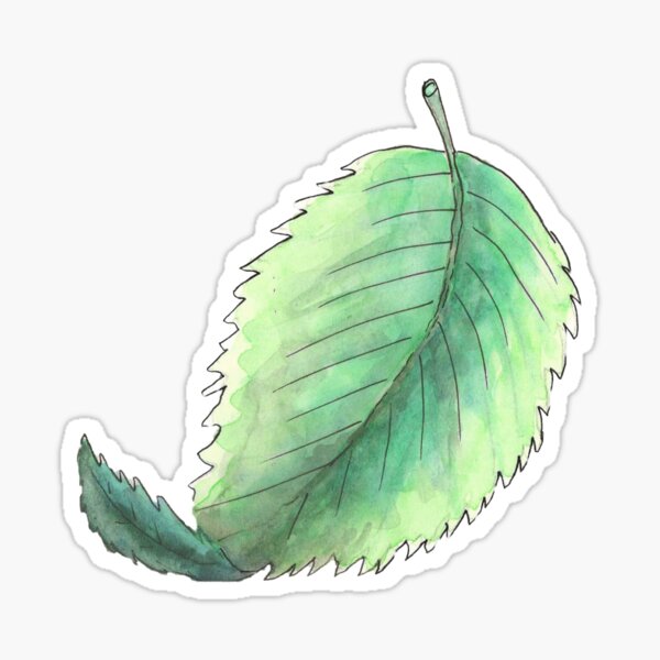 Green Leaf Sticker