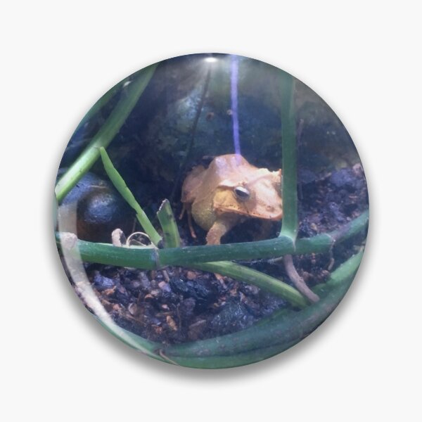 Item preview, Brown Frog designed and sold by Taranodongirl7.