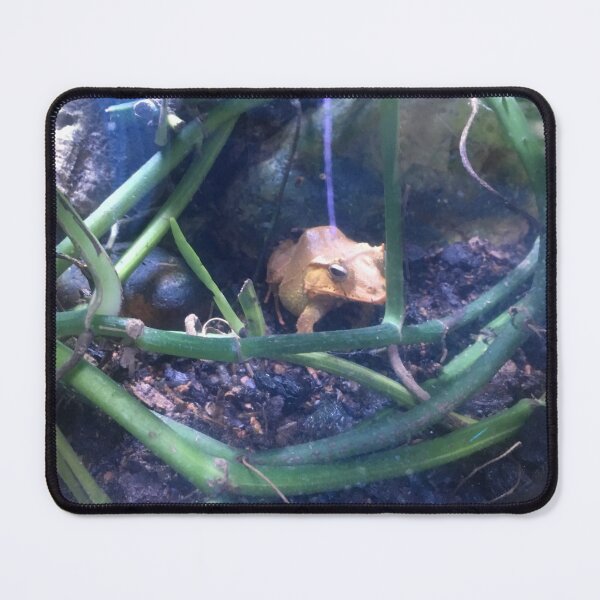 Item preview, Brown Frog designed and sold by Taranodongirl7.