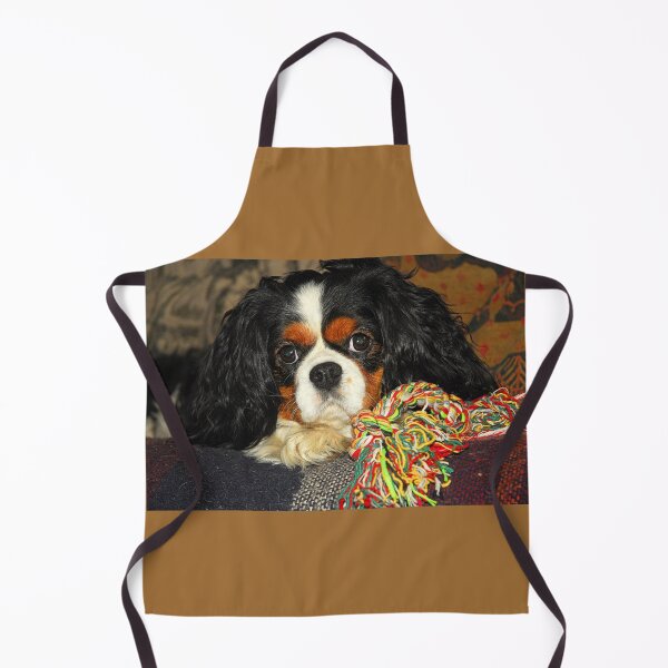 Item preview, Cavalier King Charles Spaniel at Rest designed and sold by Billlee.