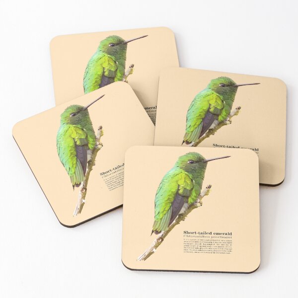 Item preview, Short-tailed emerald hummingbird at dawn designed and sold by Mauricio Acosta.
