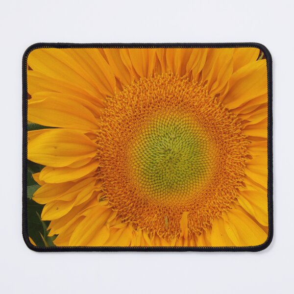 Item preview, Sunflower in full Bloom. designed and sold by Billlee.