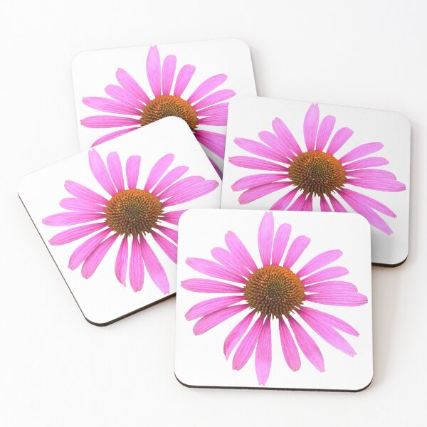 Item preview, Purple Echinacea Flower Still Life Floral Photography designed and sold by CottoVerdi.