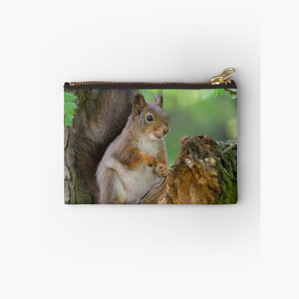 Item preview, Red mother squirrel designed and sold by Sergey Bezberdy.